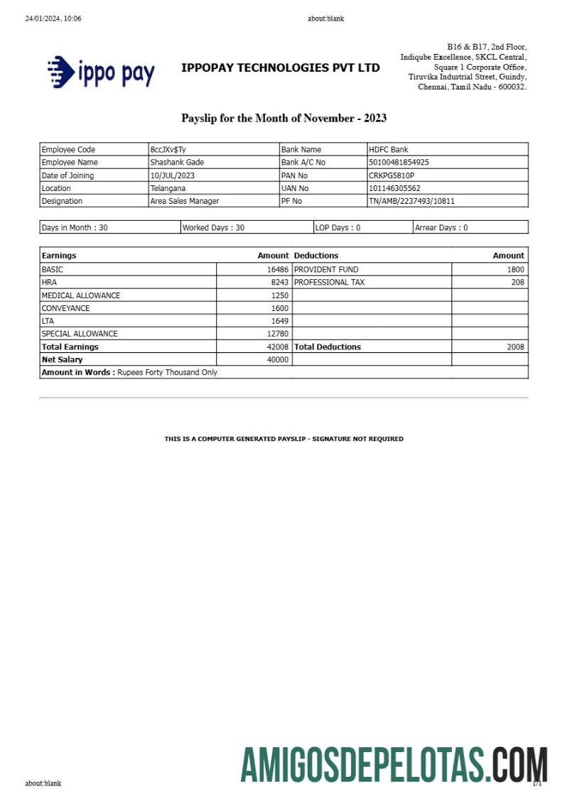 Em branco Modelo de recibo de pagamento da IppoPay Technologies em formatos Word e PDF.pdf, 1